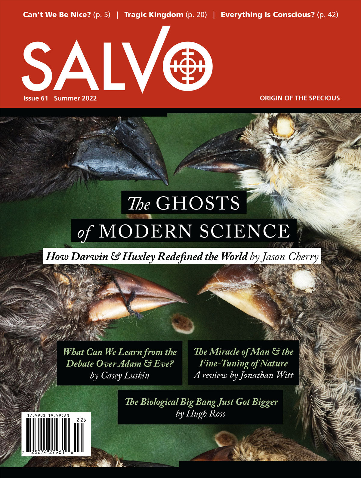 Salvo Issue #61