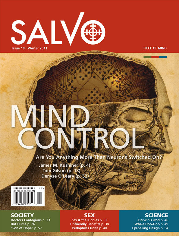 Salvo Issue #19