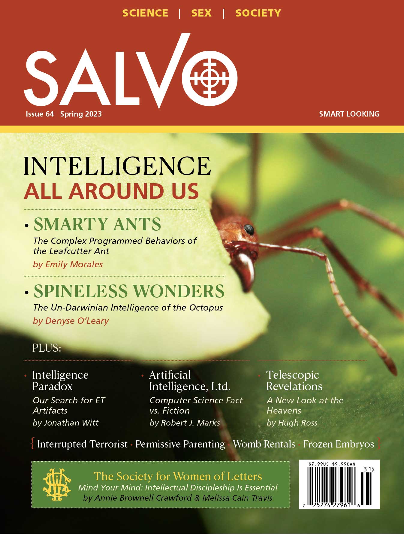 Salvo Issue #64