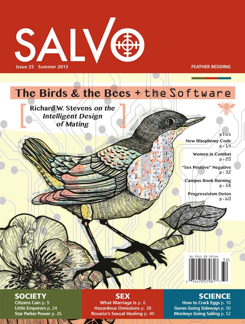 Salvo Issue #25